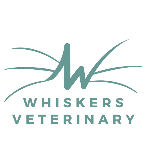 Whiskers Vets logo